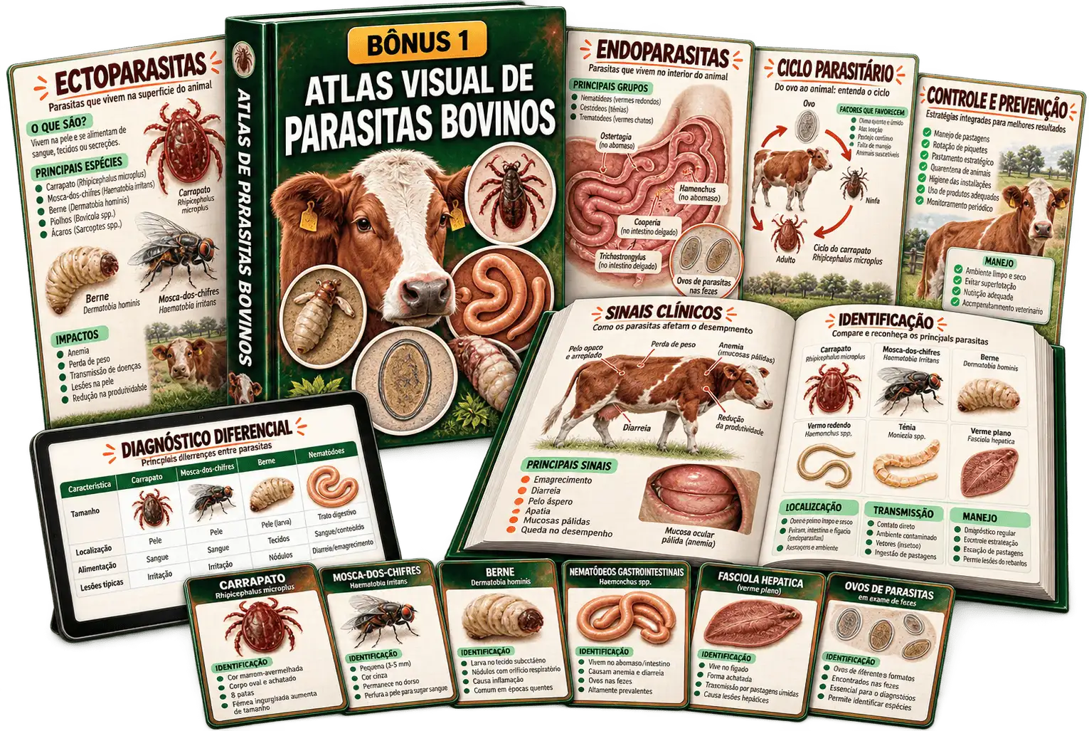 Atlas Visual de Parasitas Bovinos
