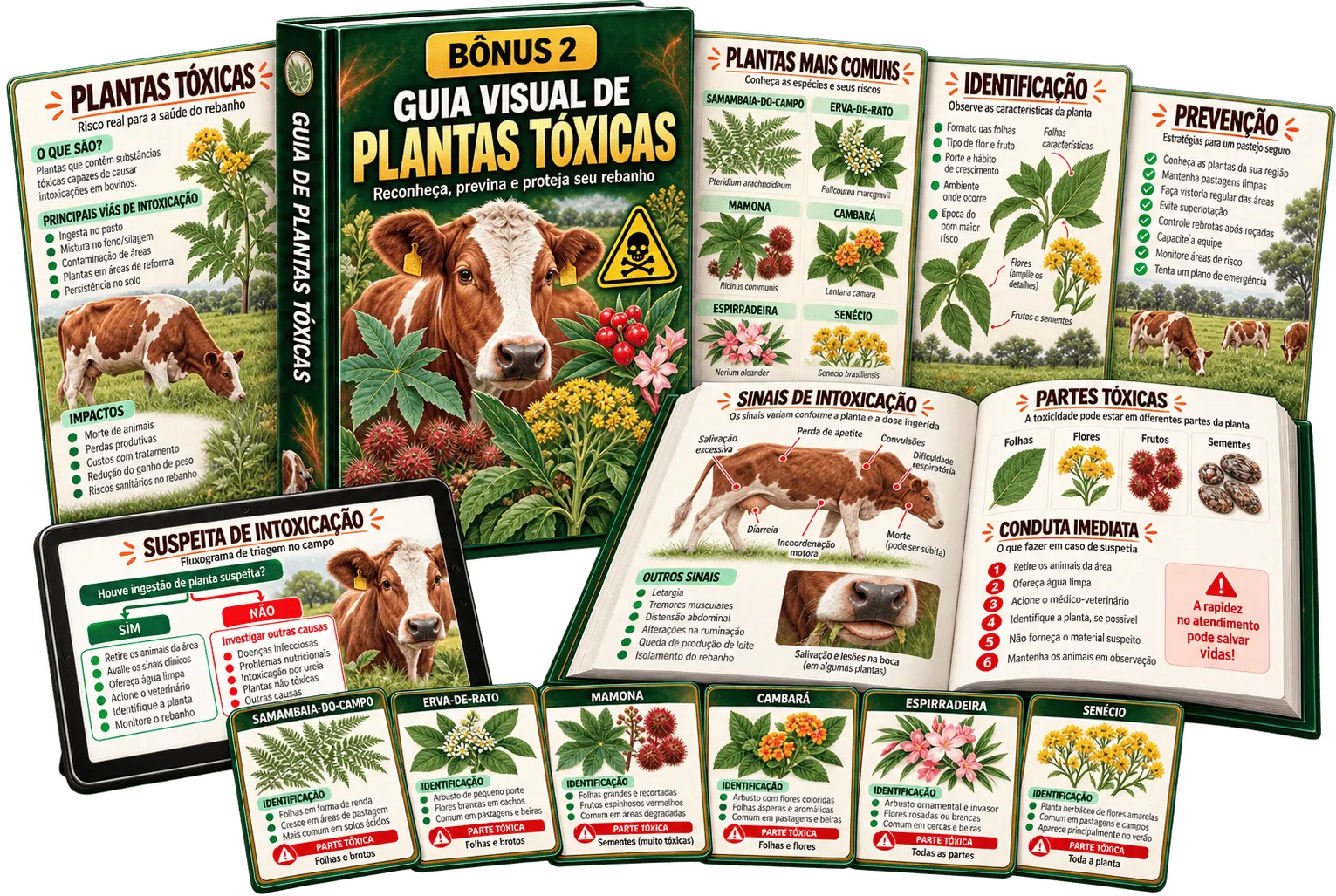 Guia Visual de Plantas Tóxicas das Pastagens