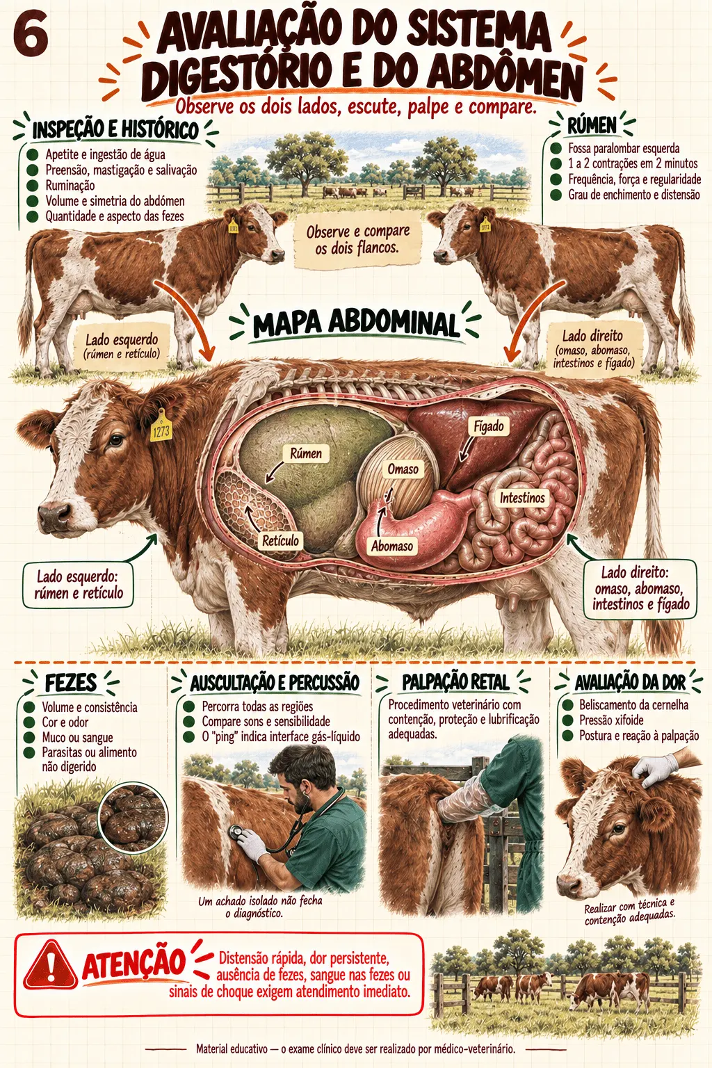 Prévia material Clínica de Bovinos