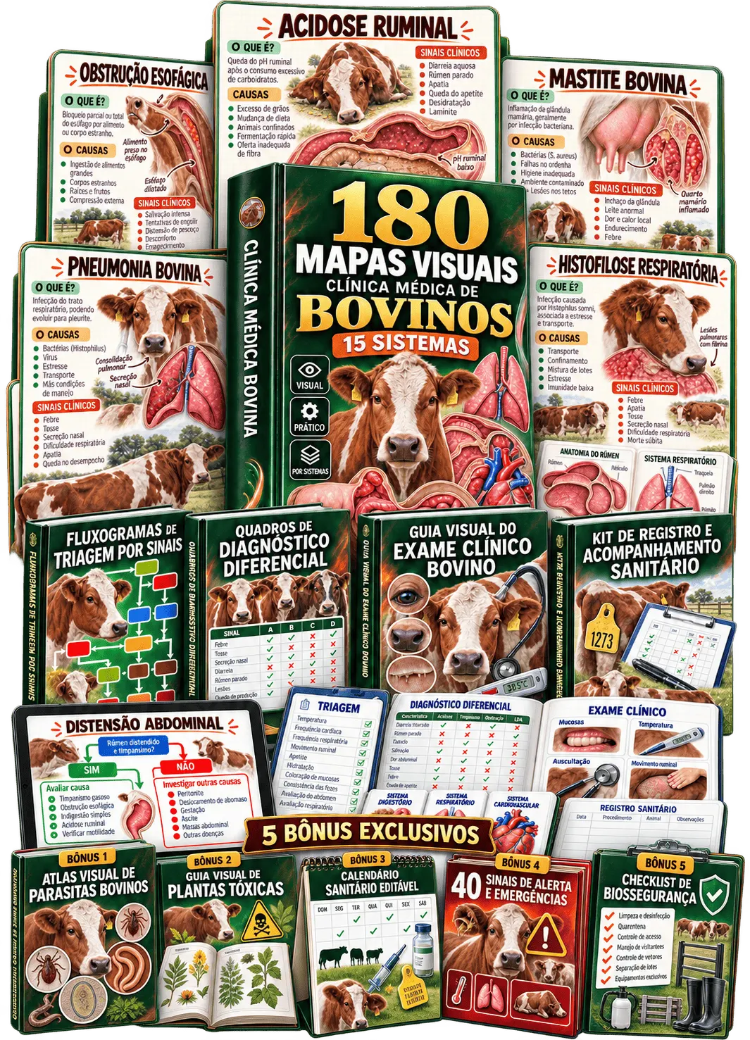 Tudo que você recebe — Kit 180 Mapas Visuais de Clínica Médica de Bovinos